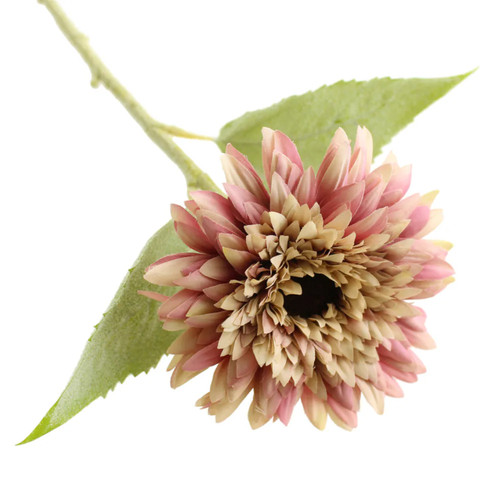 A 48cm Pink & Cream Dwarf Sunflower Stem.