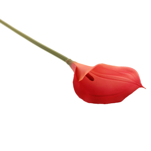 A 70cm pink calla lily stem.