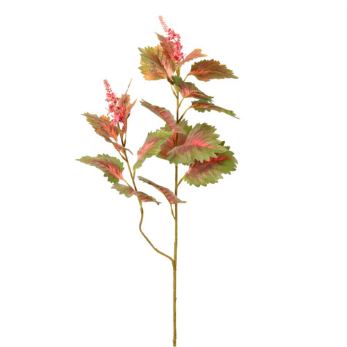 An 87cm Coleus Plant Spray.