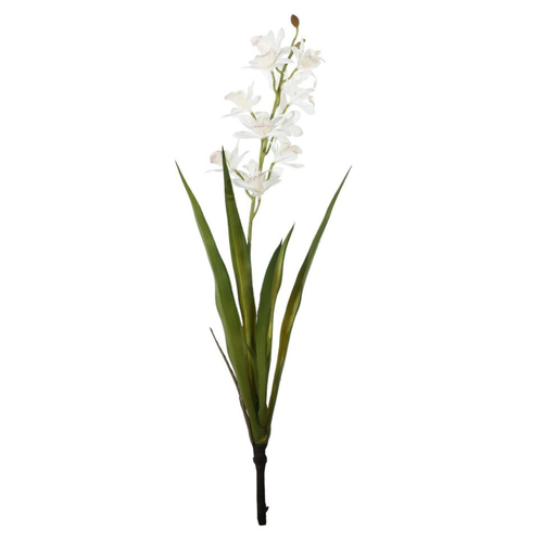 A White Mini Cymbidium Flower, measuring approx. 45cm.
