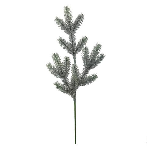 A 61cm Aspen Frost Fir Stem.