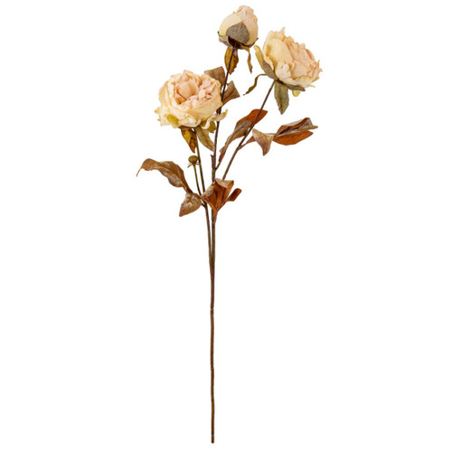 A Dry Touch Almond Cream Peony Spray.