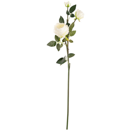 75cm White Elizabeth Garden Rose Spray (1)