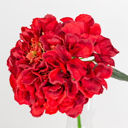 A 42cm Dark Red Hydrangea Short Stem A 42cm Dark Red Hydrangea Short Stem