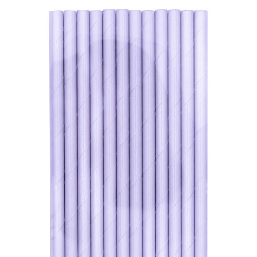 Iridescent Paper Straws (24)