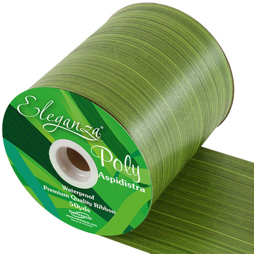 Spring Green Aspidistra Ribbon - 100mm x 50yds (1)