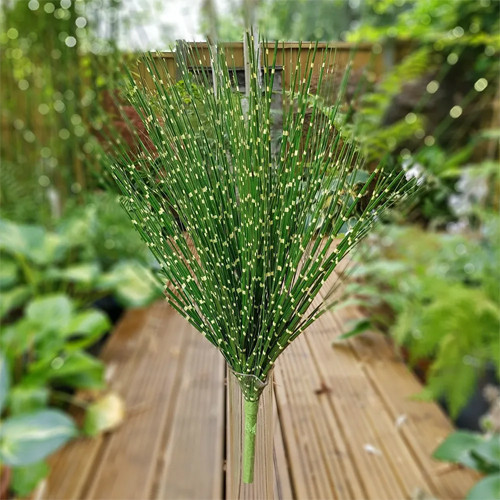 60cm Zebrinus Grass Bush (1)
