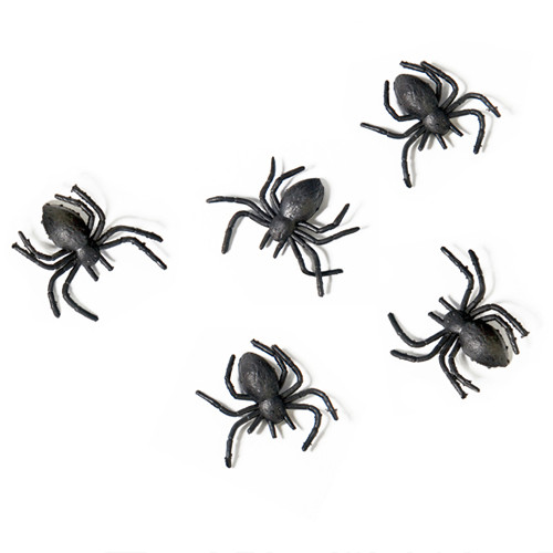 Black Spiders (10)