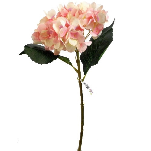 46cm Peach Single Hydrangea (1)