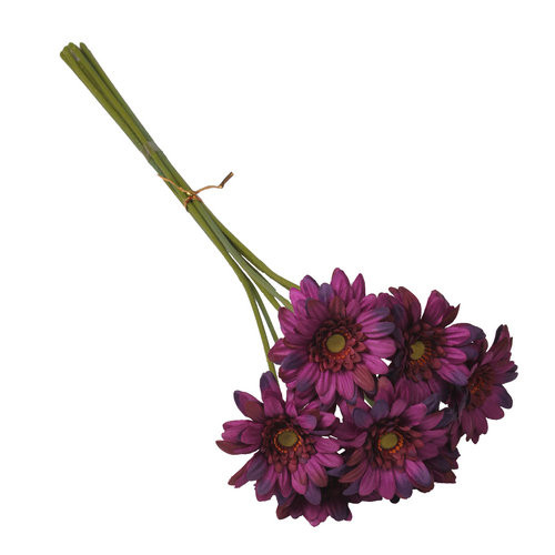 47cm Purple Mini Gerbera Bundle - 7 Stems (1)