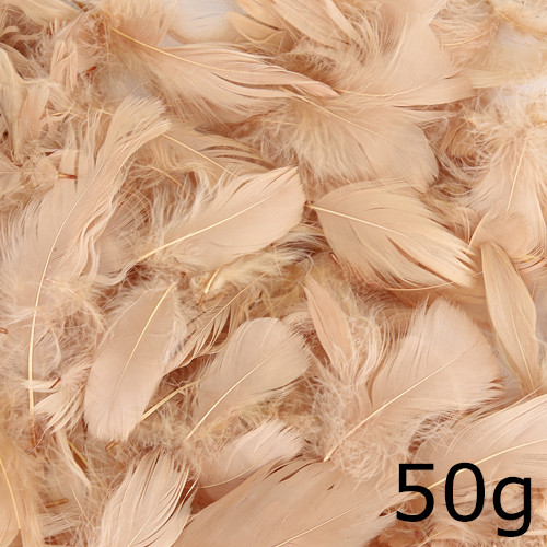 Natural Feathers - 50g (1)