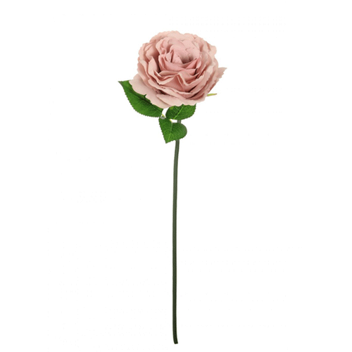 45cm Dusty Pink Short Stem Tudor Rose (1)