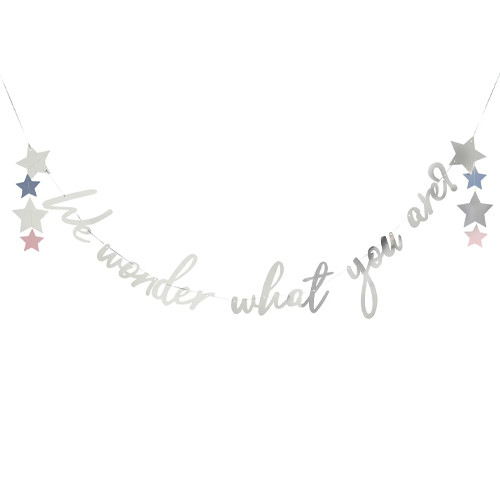 We Wonder What You Are Star Foil Banner - 2m (1)