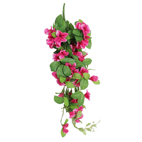 Fuchsia Trailing Morning Glory Bush - 60cm (1)