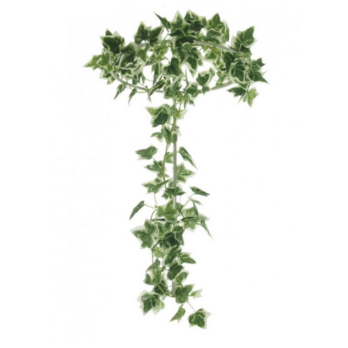 Ivy Leaf Garland - 2m (1)