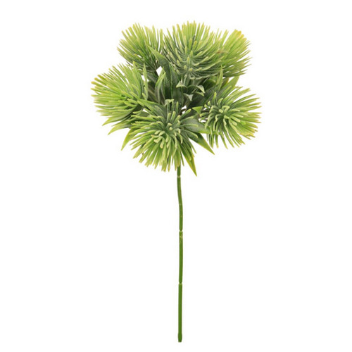 A 31cm Tropic Thistle Stem.