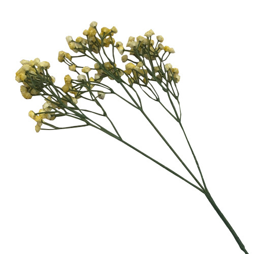 70cm Yellow Gypsophila Spray (1)