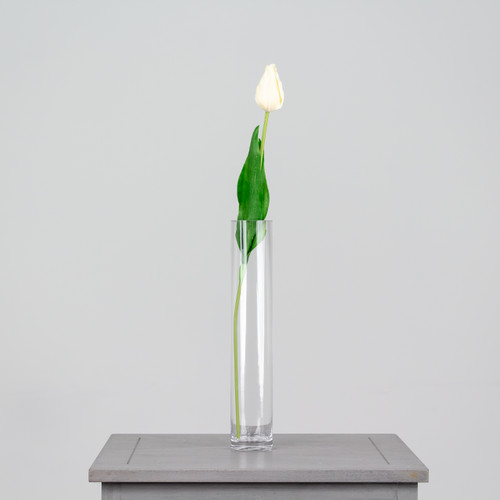 50cm White Tulip Stem (1)