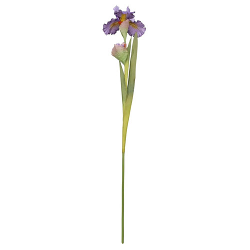 87cm Blue Monet Iris Pick (1)