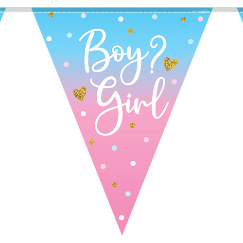 Boy or Girl Gender Reveal Foil Bunting - 3.9m (1)