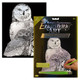 Snowy Owls - Silver Engraving Art Kit (1)