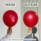 12" Metallic Red Sempertex Latex Balloons (50)