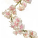 Pink Blossom Garland - 2.1m (1)