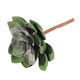 11cm Green Succulent Pick (1)