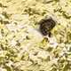 Gold Foil Confetti Push Popper (1)