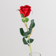 54cm Single Velvet Red Rose (1)
