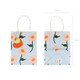 Small Flowers Light Blue Gift Bag & Tag (1)
