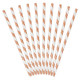 Metallic Rose Gold Striped Paper Straws (10)