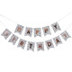 Happy Birthday Dalmatian Pennant Paper Banner - 2m (1)
