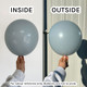 5" Fog Tuftex Latex Balloons (50)