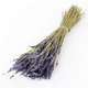 40-50cm Dried Natural Blue Lavender Bunch - 100g (1)