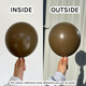 18" Fashion Coffee Brown Sempertex Latex Balloons (25)