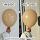 31" Standard Blush Gemar Latex Balloons (10)