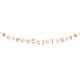 Happy Birthday Rose Gold Maverick Paper Banner - 3m (1)