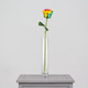 50cm Fresh Touch Rainbow Rosebud Pick (1)