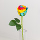 50cm Fresh Touch Rainbow Rosebud Pick (1)