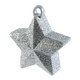 170g Silver Glitter Star Weight (1)
