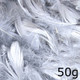 Silver Feathers - 50g (1)