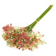 28cm Pink Gypsophila Bundle - 6 Stems (1)