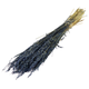 60cm Dried Dark Blue Oats Bunch - 25-30 Stems