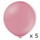 2ft Wild Rose Belbal Latex Balloons (5)