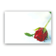 Red Rosebud Message Cards - 9cm x 6cm (50)