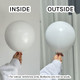 24" Standard White Kalisan Latex Balloons (2)