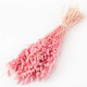 45-55cm Dried Light Pink Briza Maxima Bunch - 50g (1)