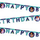 Encanto Happy Birthday Paper Banner - 2m (1)