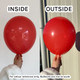 19" Standard Raspberry Red Gemar Latex Balloons (25)
